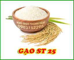 Gạo St25 Ông Cua Sóc Trăng 