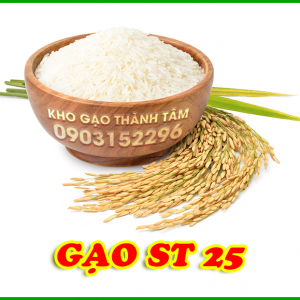 Gạo St25 Ông Cua Sóc Trăng 