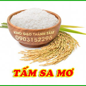 Tấm Sa Mơ 